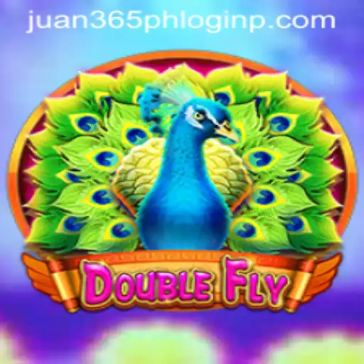 The Engaging World of DoubleFly: A Detailed Guide