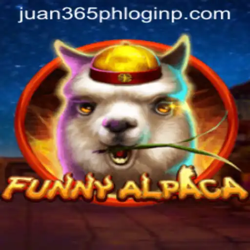 Exploring the Vibrant World of FunnyAlpaca